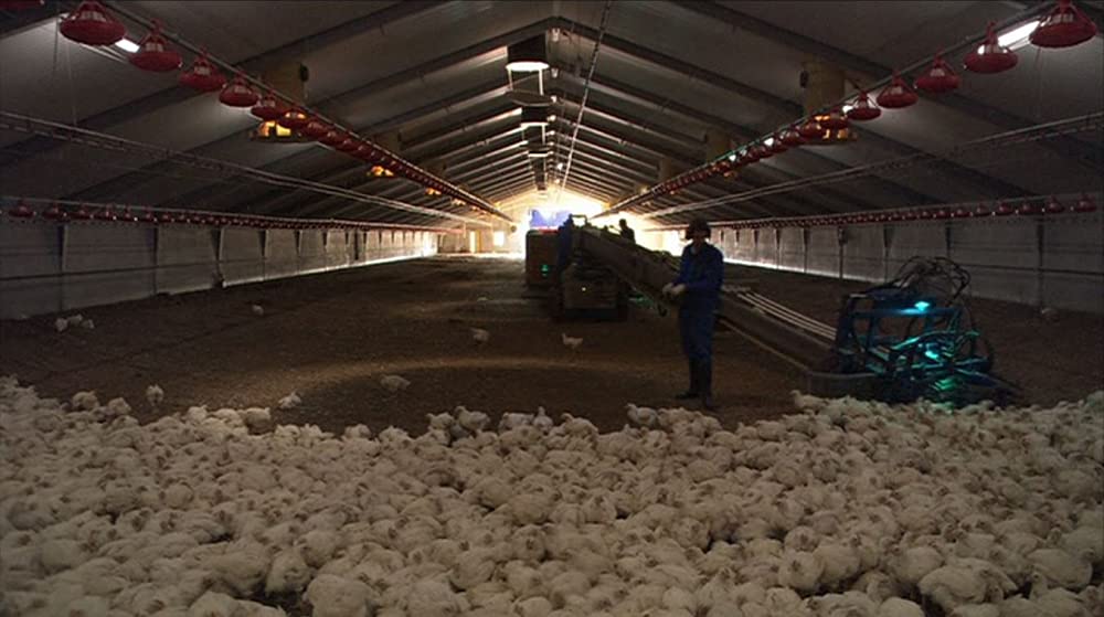 いのちの食べかたの画像