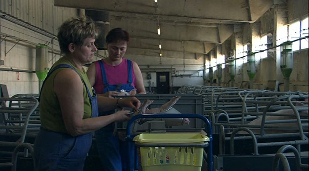 いのちの食べかたの画像