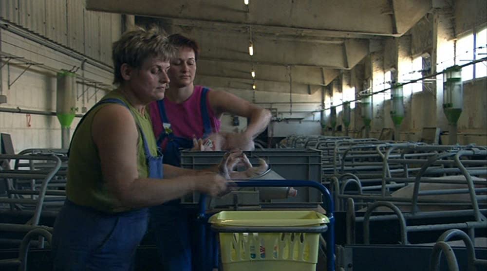 いのちの食べかたの画像