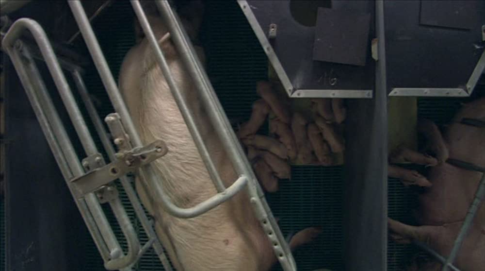 いのちの食べかたの画像