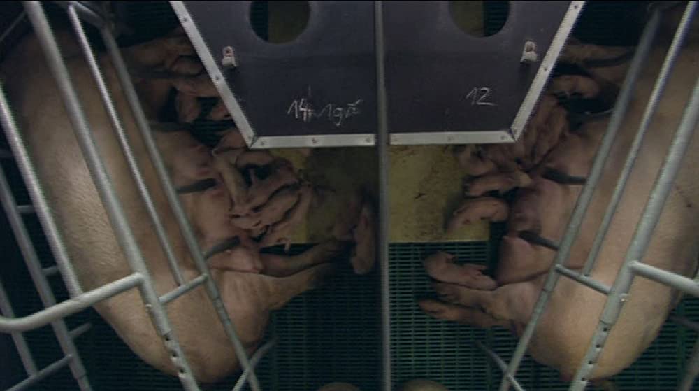 いのちの食べかたの画像