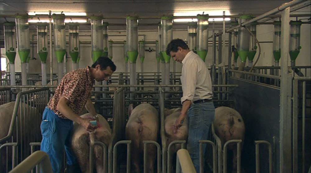 いのちの食べかたの画像