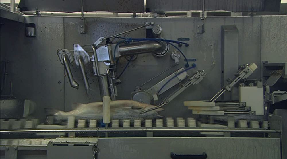 いのちの食べかたの画像