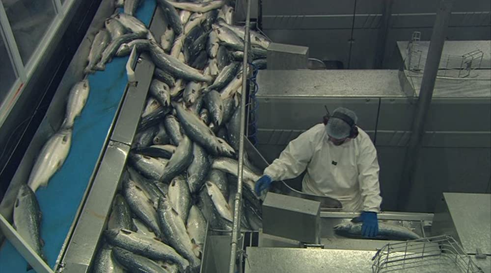 いのちの食べかたの画像