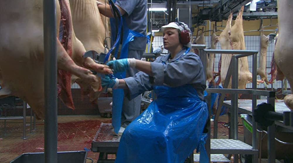 いのちの食べかたの画像