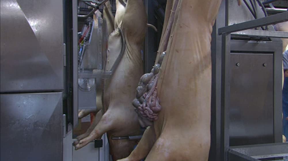 いのちの食べかたの画像