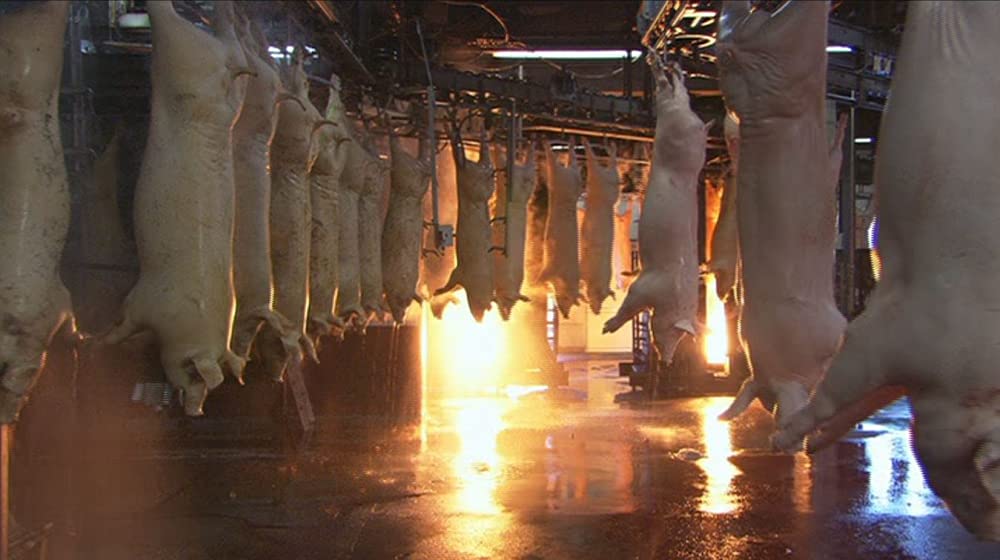 いのちの食べかたの画像