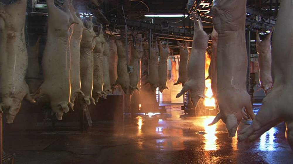 いのちの食べかたの画像