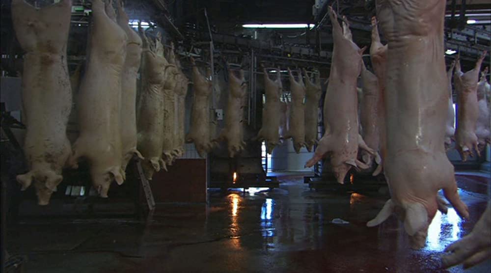 いのちの食べかたの画像