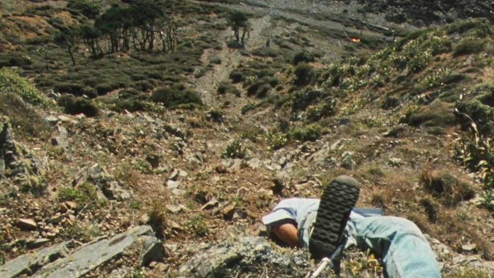 バッド・テイストの画像