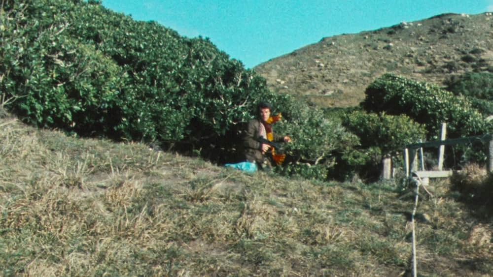 バッド・テイストの画像