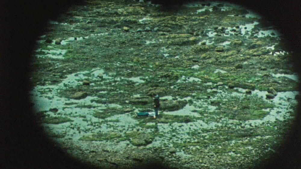 バッド・テイストの画像