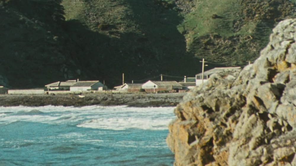 バッド・テイストの画像