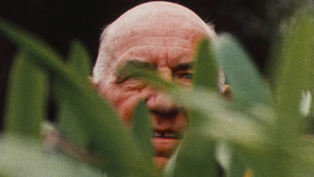 バッド・テイストの画像