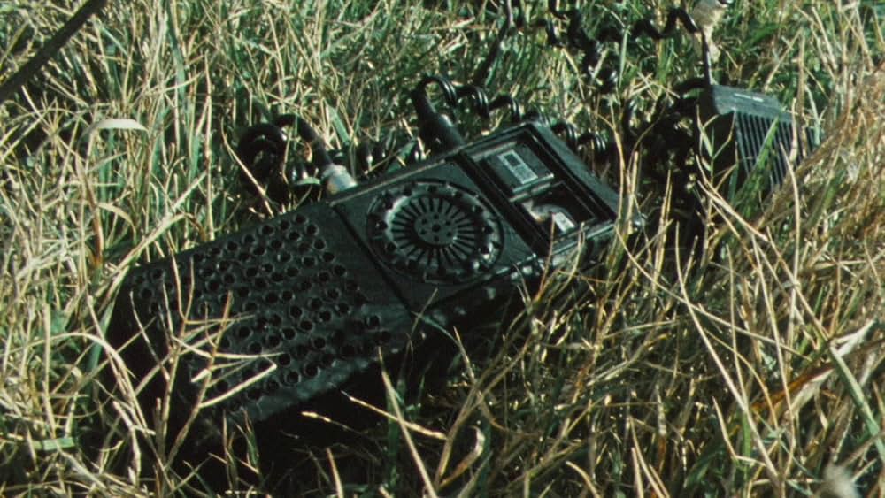 バッド・テイストの画像