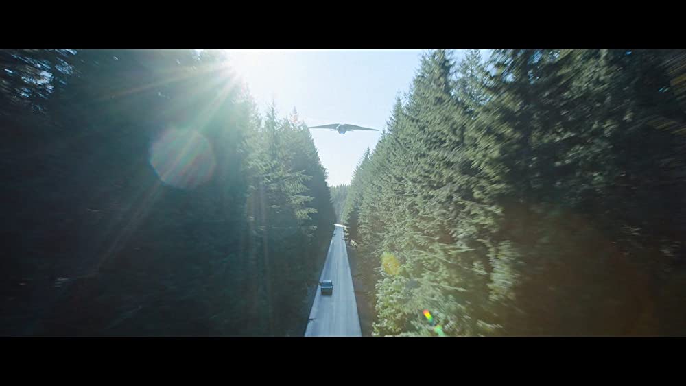 アダム＆アダムの画像