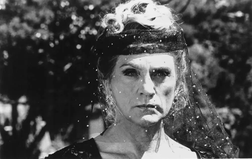 「プリシラ」テレンス・スタンプの画像