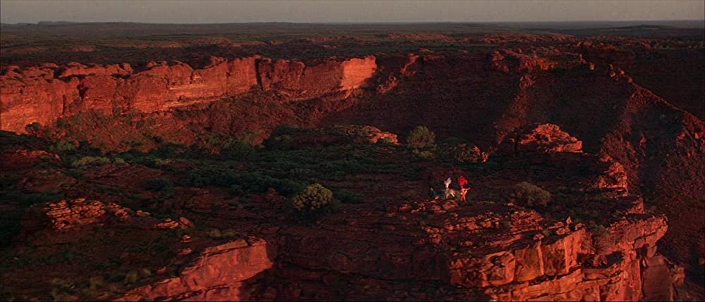 プリシラの画像