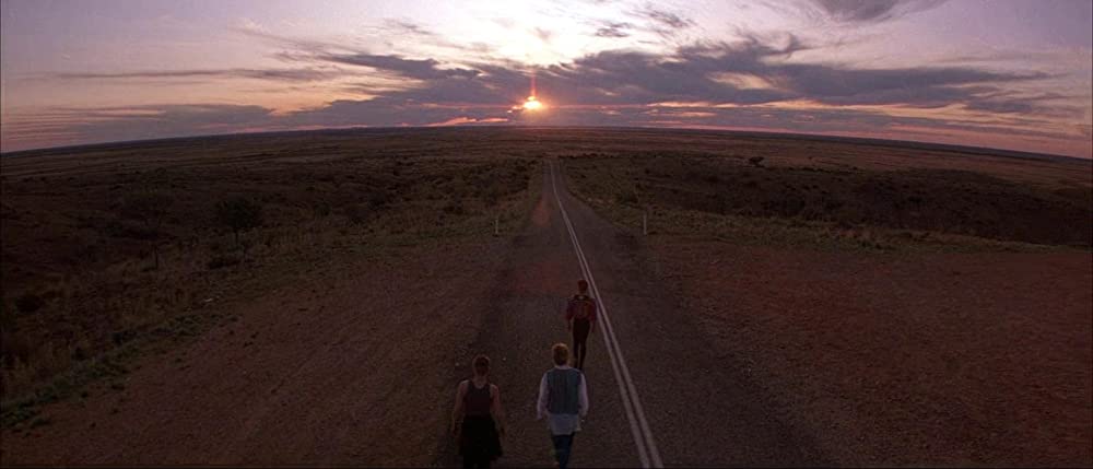 プリシラの画像