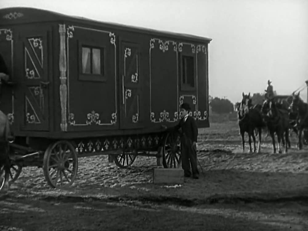 サーカスの画像