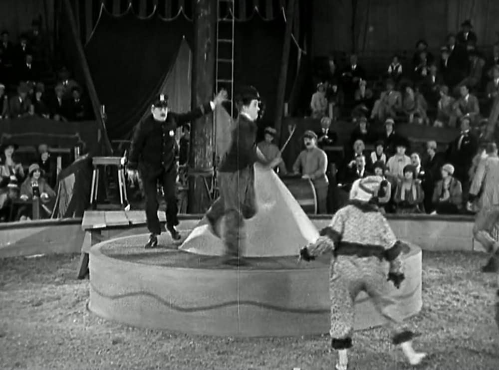 サーカスの画像