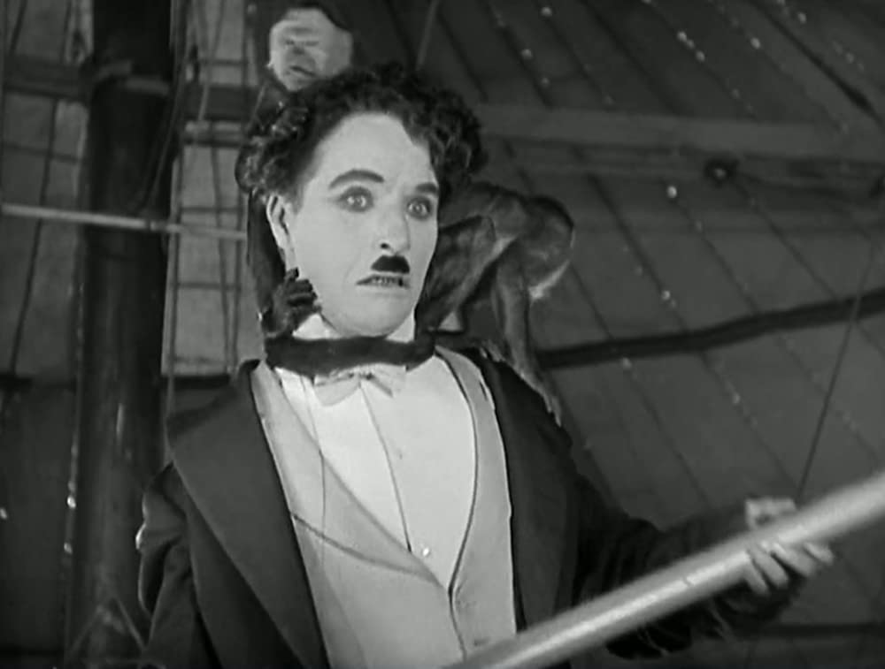 サーカスの画像