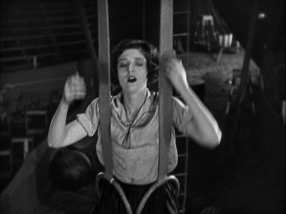 サーカスの画像