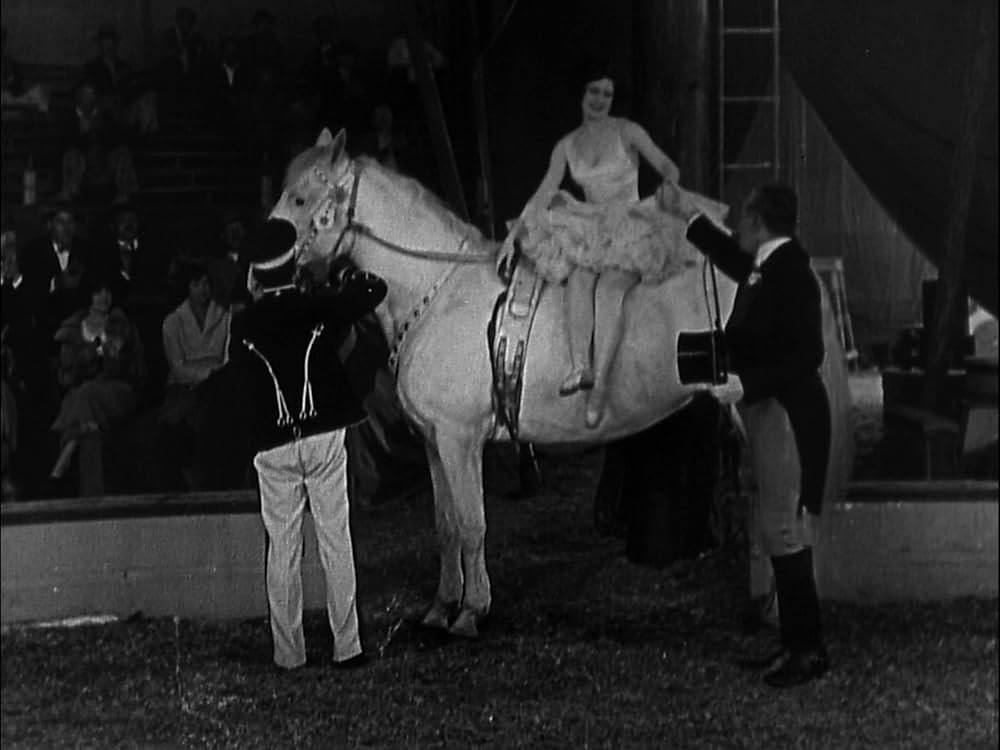 サーカスの画像