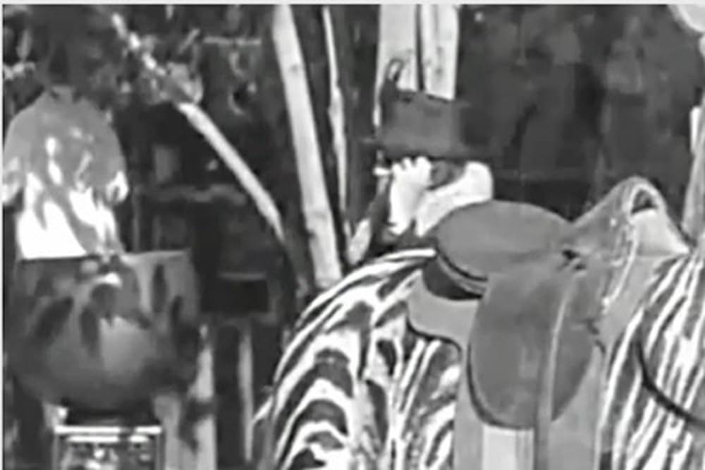 サーカスの画像