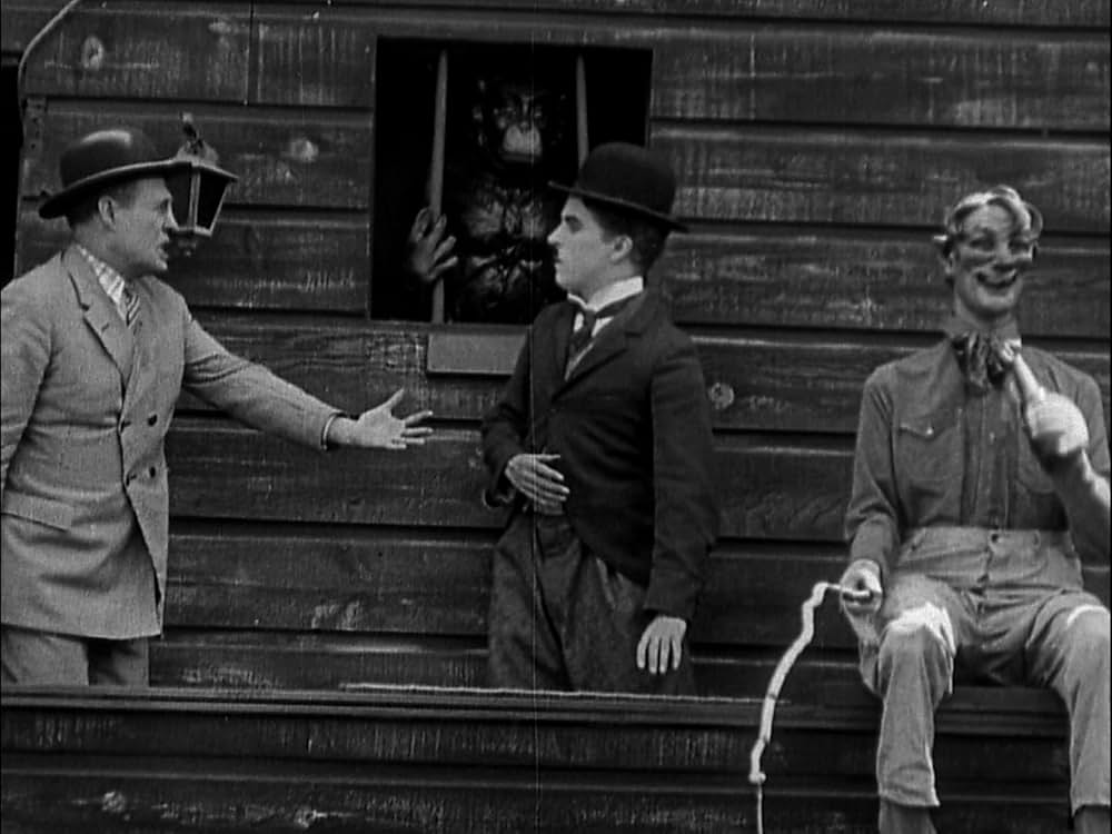 サーカスの画像