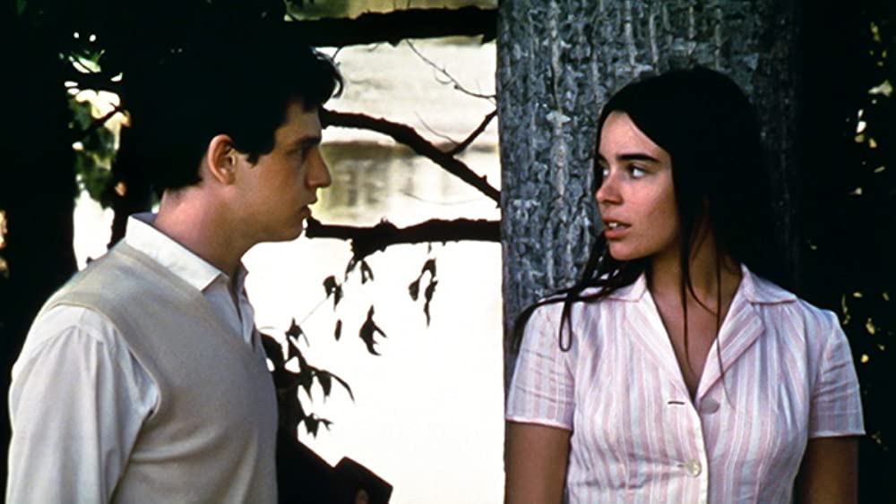 野性の葦の画像