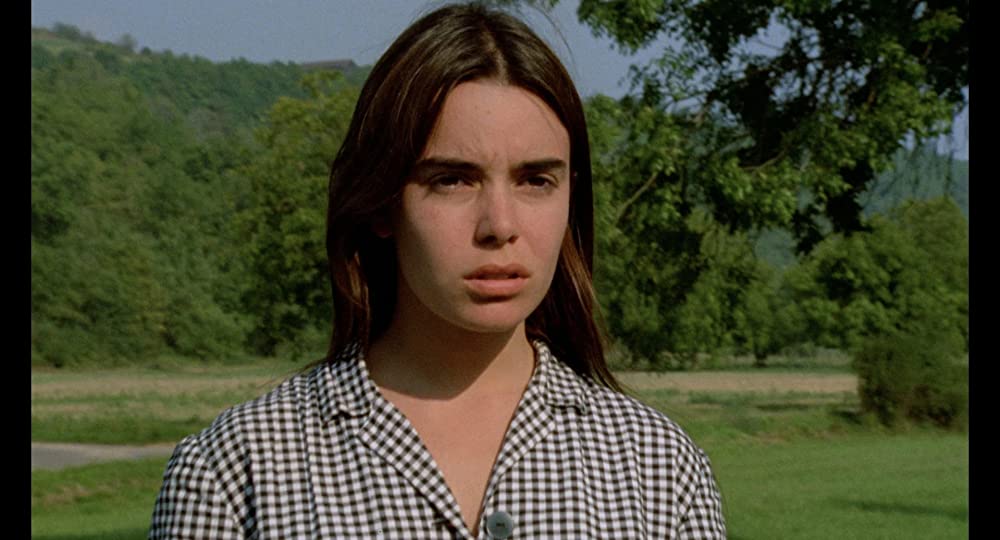 野性の葦の画像