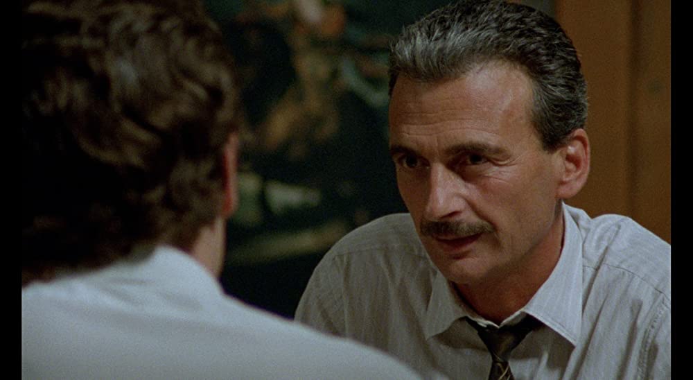 野性の葦の画像