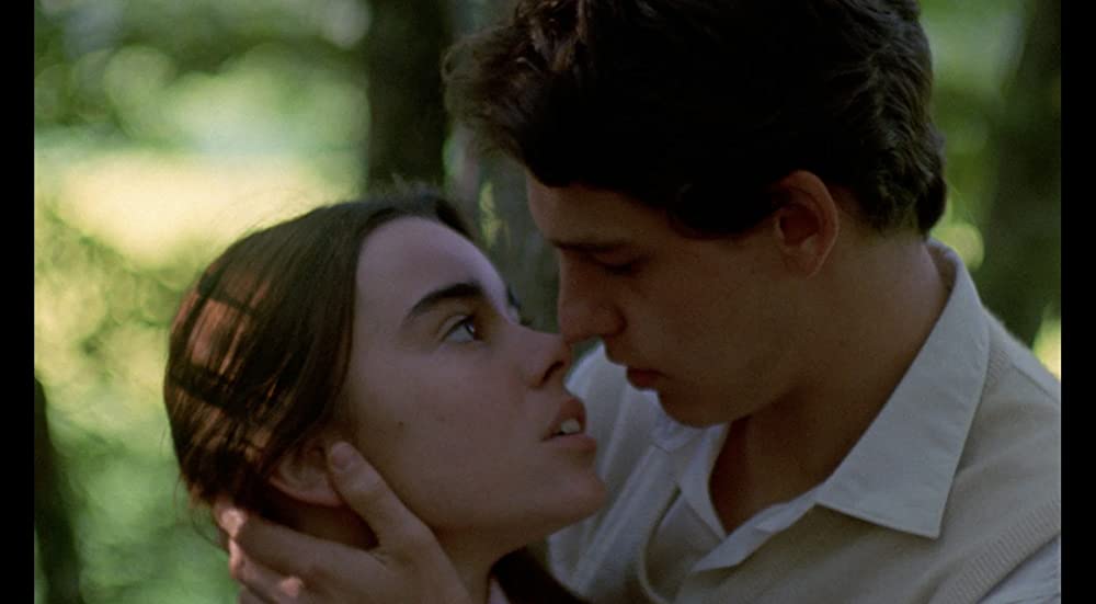 野性の葦の画像