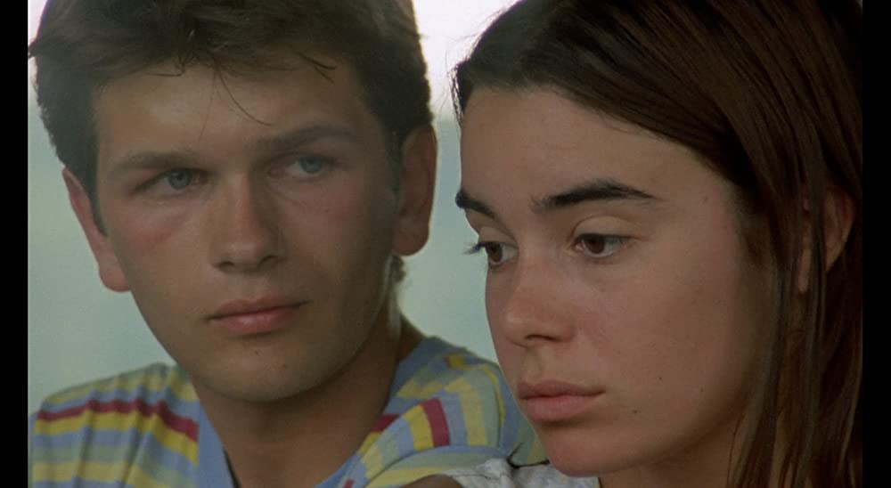 野性の葦の画像