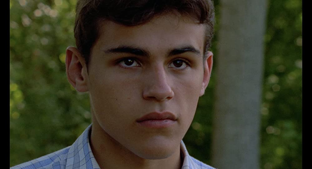 野性の葦の画像