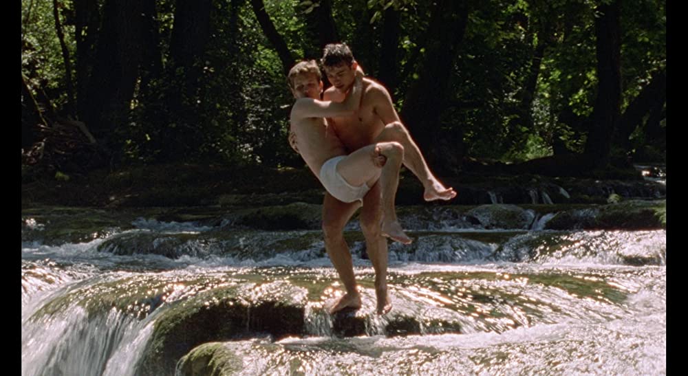 野性の葦の画像