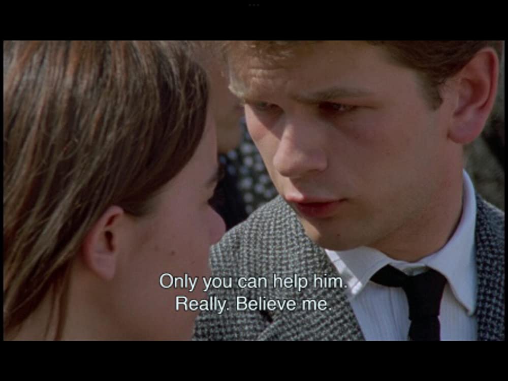 野性の葦の画像