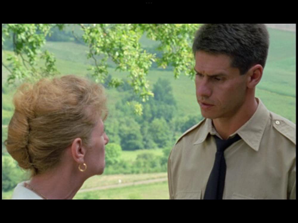 野性の葦の画像