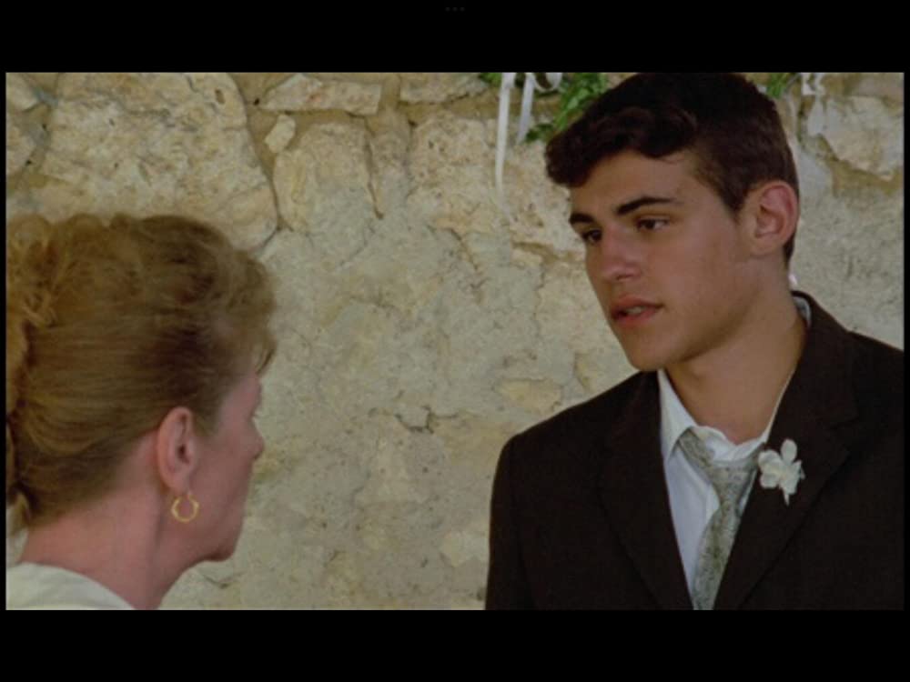 野性の葦の画像