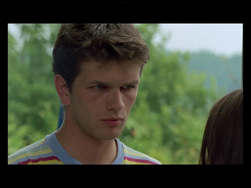 野性の葦の画像