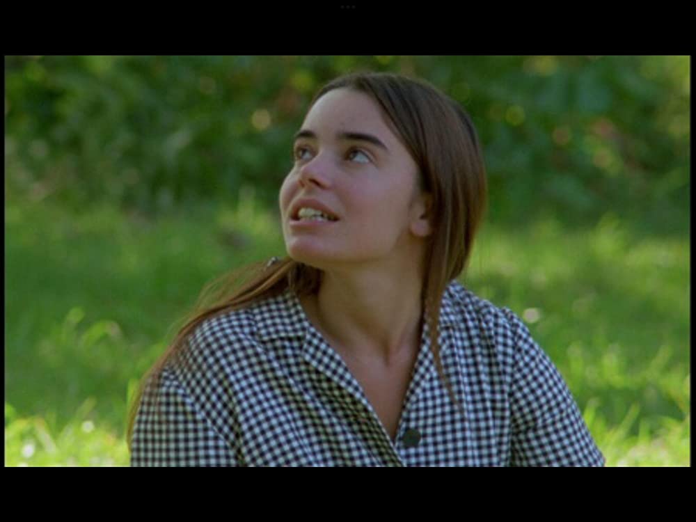 野性の葦の画像