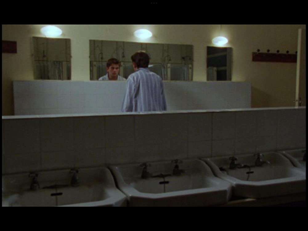 野性の葦の画像