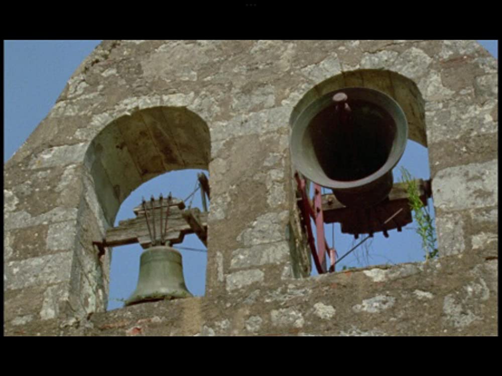 野性の葦の画像