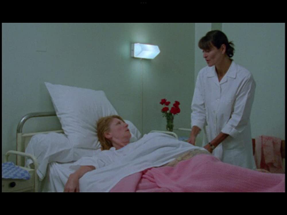 野性の葦の画像