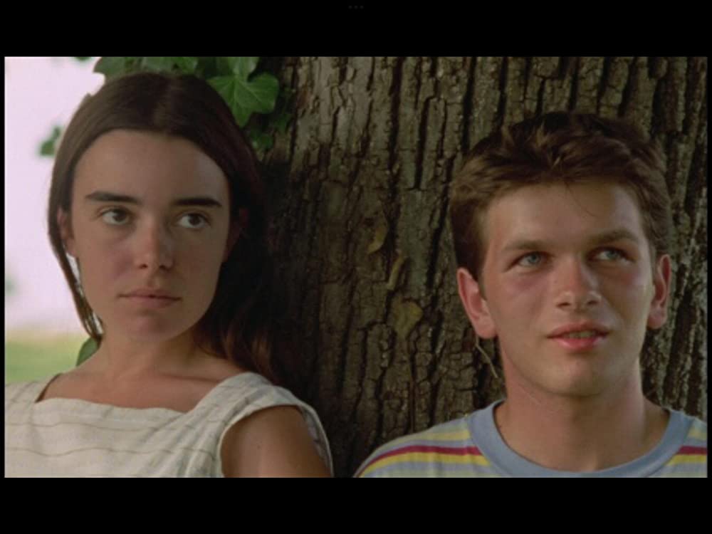 野性の葦の画像