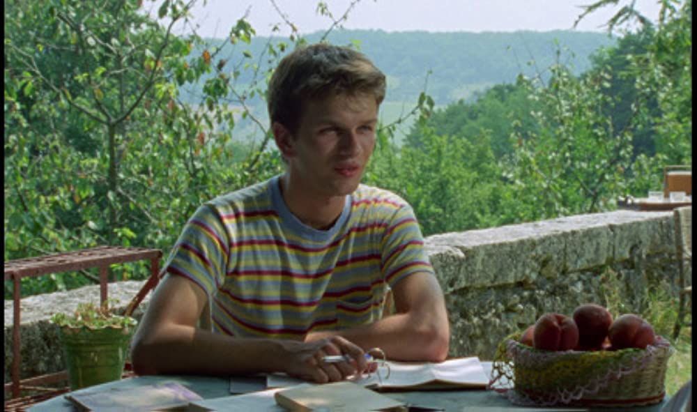 野性の葦の画像