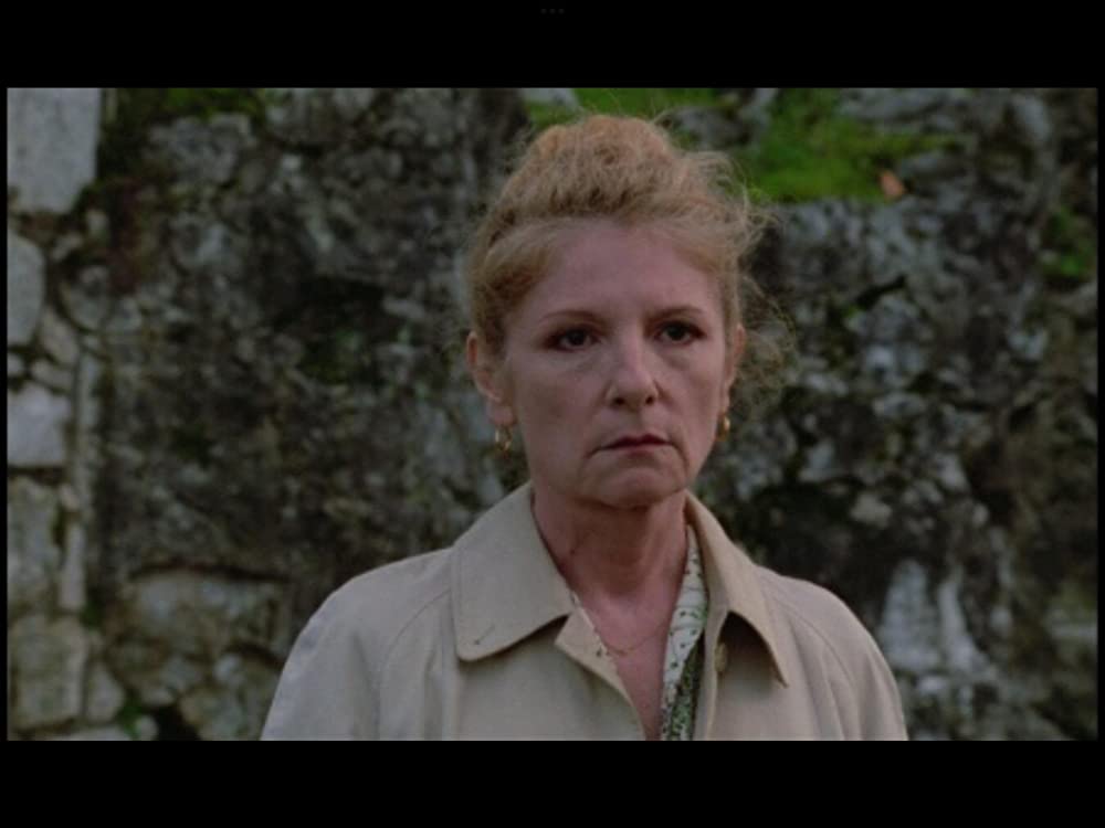 野性の葦の画像