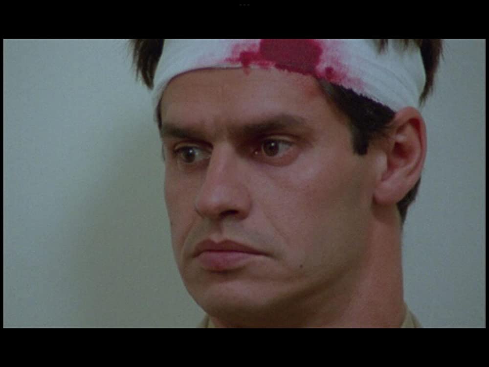 野性の葦の画像