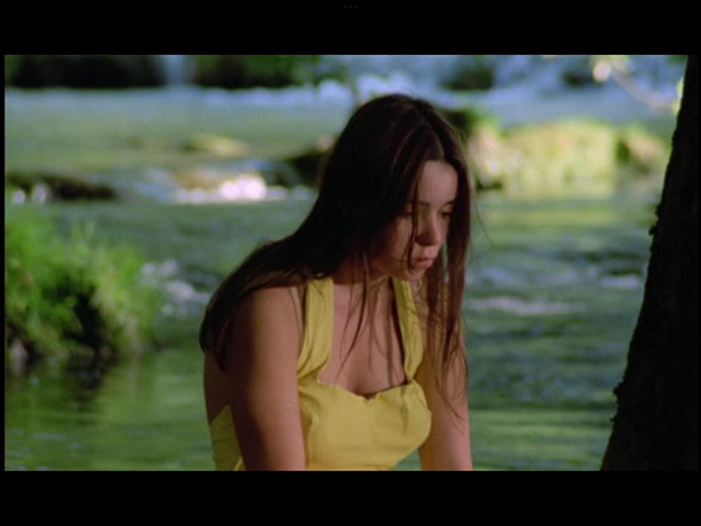 野性の葦の画像